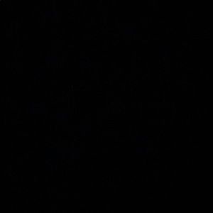 Meet your Posher, Stella